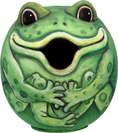 Picture of Songbird Essentials Frog Gord-O Birdhouse