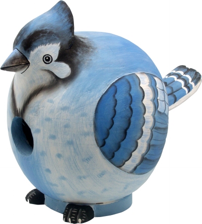 Picture of Songbird Essentials Blue Jay Gord-O Birdhouse