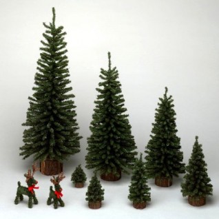 32 in. Mini Pine Tree 383 Tips Wood Base
