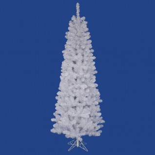 4.5 ft. x 24 in. White Salem Pencil Pine 217T