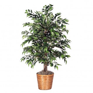 4 ft. Green Smilax Bush