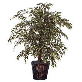 TXX1340 4 ft. Variegated Smilax Extra Full