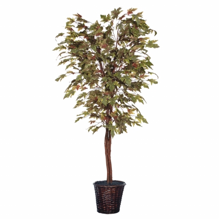 6 ft. Frosted Maple Deluxe