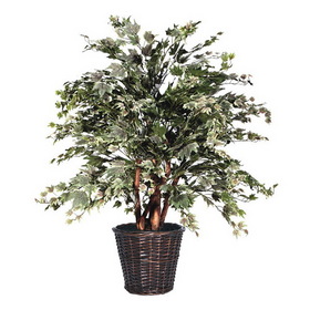 TXX1640 4 ft. Silver Maple Extra Full