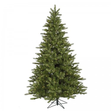 12 ft. X 83 in. King Spruce LED 1650 WmWht
