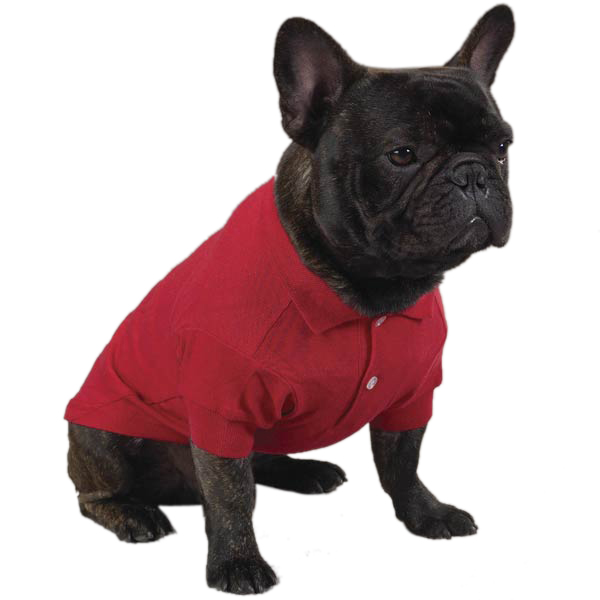 Picture of Zack & Zoey US2100 08 90 Polo Shirt Xsm Tomato Red
