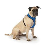 Picture of Casual Canine ZA888 24 79 Mesh Harness Xlg Purple