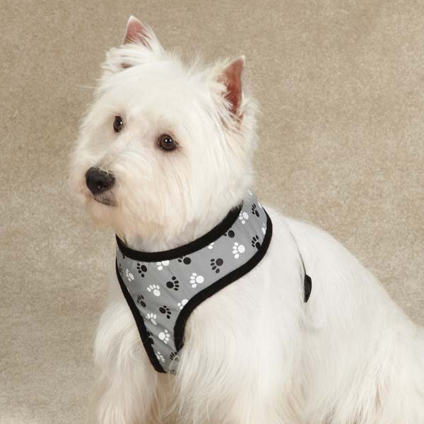 Picture of Casual Canine ZA4927 16 17 Reflective Pawprint Harness Med Black