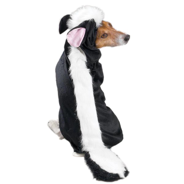 Picture of Casual Canine ZA539 08 Lil Stinker Costume XS