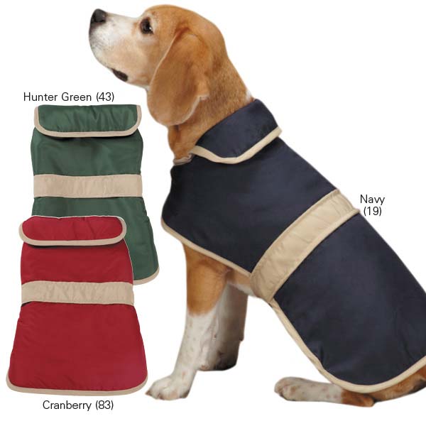 CASUAL CANINE