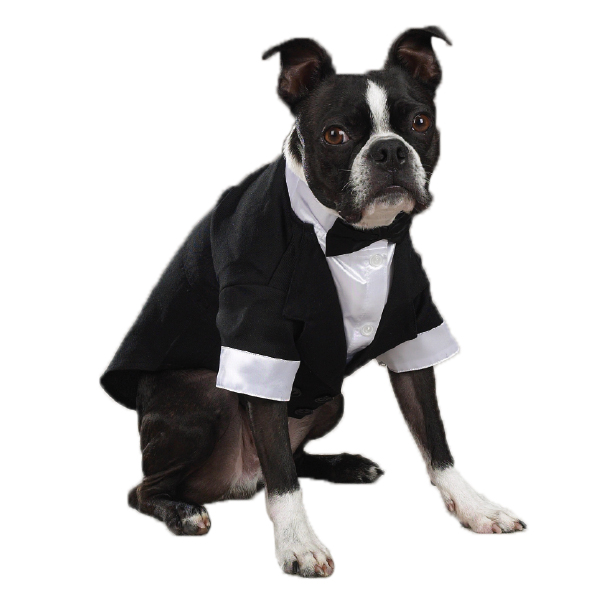 Picture of Easy Side Collection ZM1010 12 Easy Side Collection Yappily Ever After Groom Tuxedo Sm