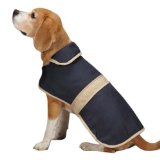 CASUAL CANINE