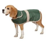 CASUAL CANINE