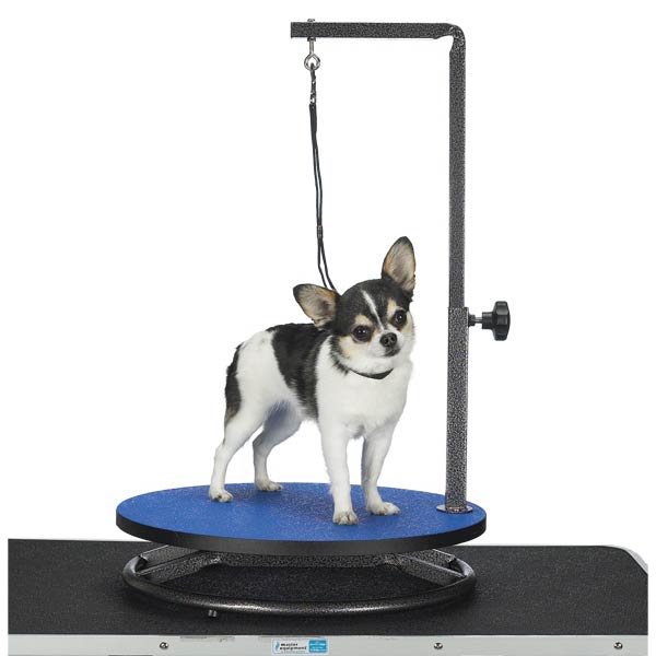Picture of Master Equipment TP160 19 Small Pet Grooming Table Blue S
