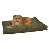 Picture of Slumber Pet ZW3422 42 43 Toughstructable Bed 42x28 In Green