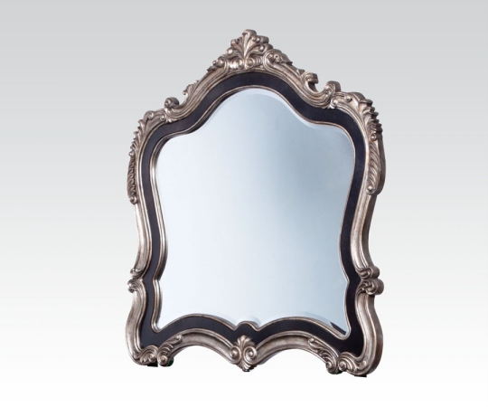 Acme Furniture 20544 Mirror