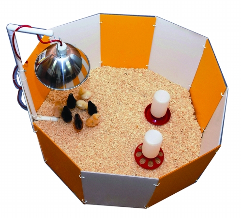 Picture of Farm Innovators-Farm Baby Chick Starter Home Orange & White 3700