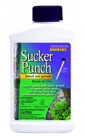 Picture of Bonide Sucker Punch Ready To Use With Brush Applicator 8 Ounce 276