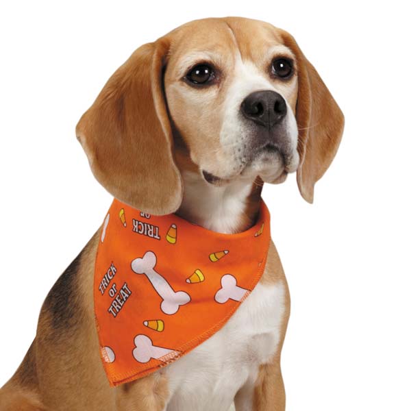 Picture of Aria North DT7133 69 Trick or Treat Bandana Org