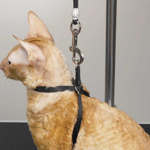 Picture of Top Performance TP18120 Adj Nylon Grmg Cat Harness 40 In