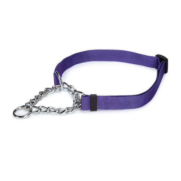 Picture of Guardian Gear ZA3301 16 94 Martingale Collar 16-24 In Ultra Violet