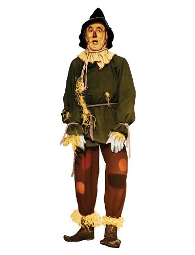 Picture of Advanced Graphics 1454 Scarecrow - Wizard of Oz 75th Anniversary