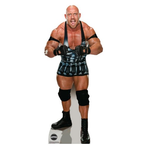 Picture of Advanced Graphics 1458 RyBack - WWE