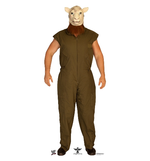 Picture of Advanced Graphics 1633 Erick Rowan - WWE