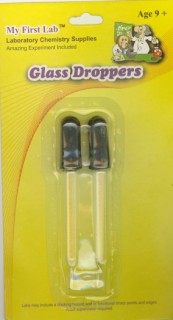 Picture of C and A Scientific SS-09 Glass Droppers- 3 in.