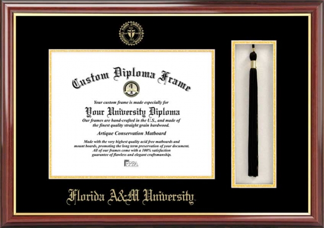Picture of Campus Image FL997PMHGT Florida A&M University Tassel Box and Diploma Frame
