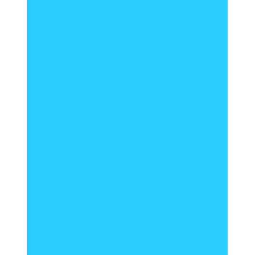 Poster Board 22X28 Blue 6 Ply