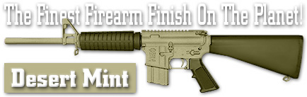 DC12810 DuraCoat Desert Mint- 128 oz.