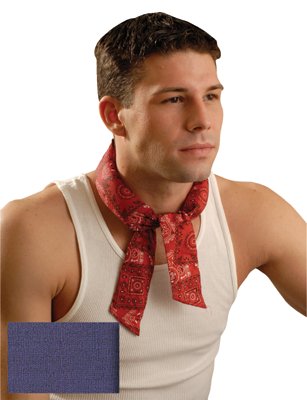 Picture of OccuNomix 561-940-018 Miracool Bandana: Navy