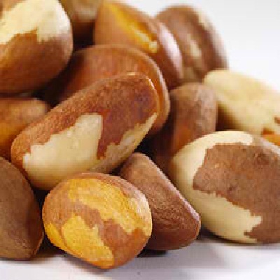 Picture of Bulk Nuts Organic Brazil Nuts 44 Lbs - SPu894063
