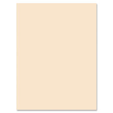 Picture of Pacon PAC5184 Tagboard- 12 ft. x 18 in.- 100Shts- 6-PK- Manila