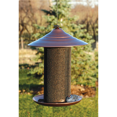 Arundale Ar360g 17 W X 13 L X 13 H Mandarin Sky Cafe Bird