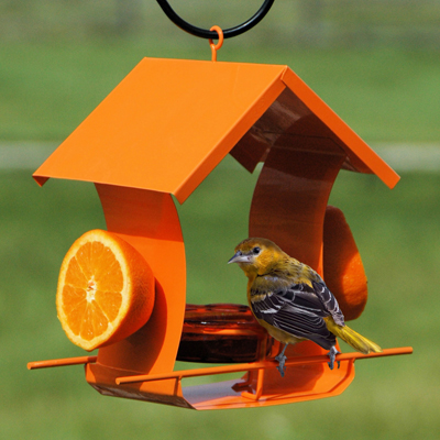 WoodLink  Metal House Oriole Feeder