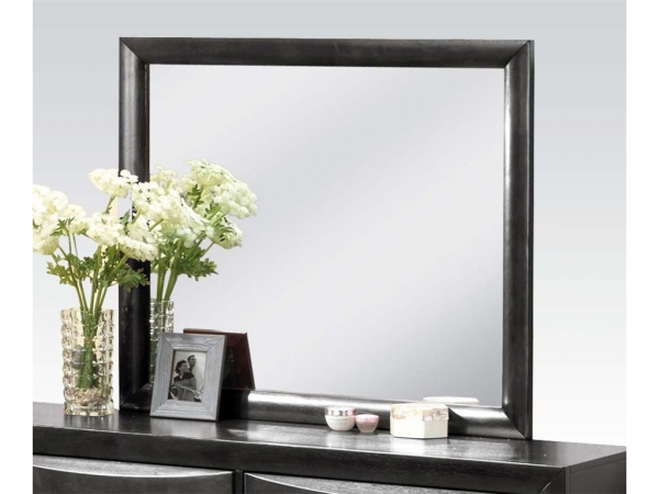 Picture of Acme Furniture 04164 Ireland Contemporary Mirror in Black