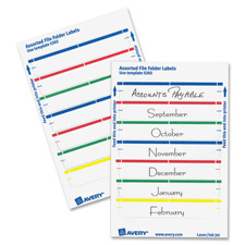 Picture of Avery AVE05204 Permanent Filing Labels- .69 in. x 3.44 in.- 252-PK- Purple