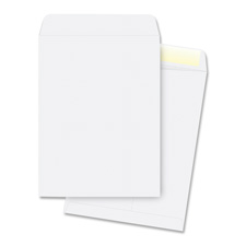 Picture of Business Source BSN42102 Catalog Envelopes- Plain- 28Lb.- 9 in. x 12 in.- 250-PK- WE