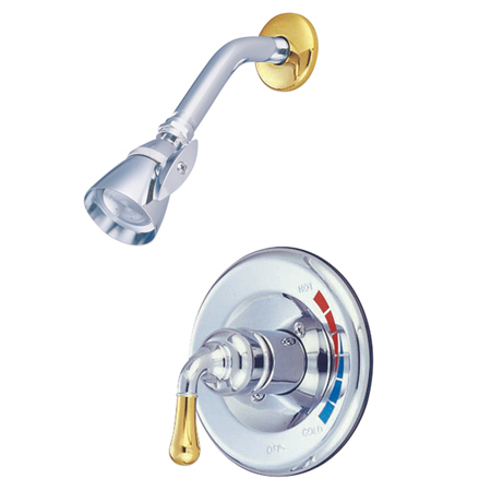 Shower Faucet, 2, Wall Mount, Polished Chrome/Polished Brass