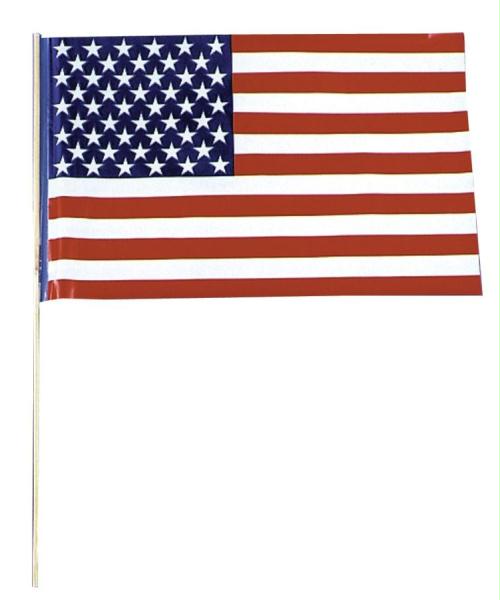 Picture of Costumes For All Occasions SA02US Flag Plstc Us 12=1 Unit