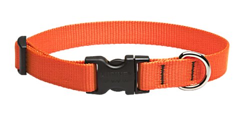 Picture of Lupine 52501 .75 in. Blaze Orange 9 in. -14 in. Adj. Collar