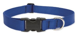 Picture of Lupine 17552 1 in. Blue 12 in. -20 in. Adj. Collar