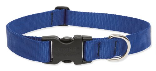 Picture of Lupine 17553 1 in. Blue 16 in. -28 in. Adj. Collar