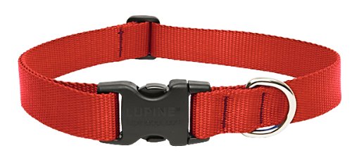 Picture of Lupine 22553 1 in. Red 16 in. -28 in. Adj. Collar