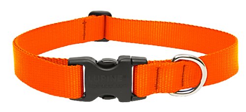 Picture of Lupine 52553 1 in. Blaze Orange 16 in. -28 in. Adj. Collar