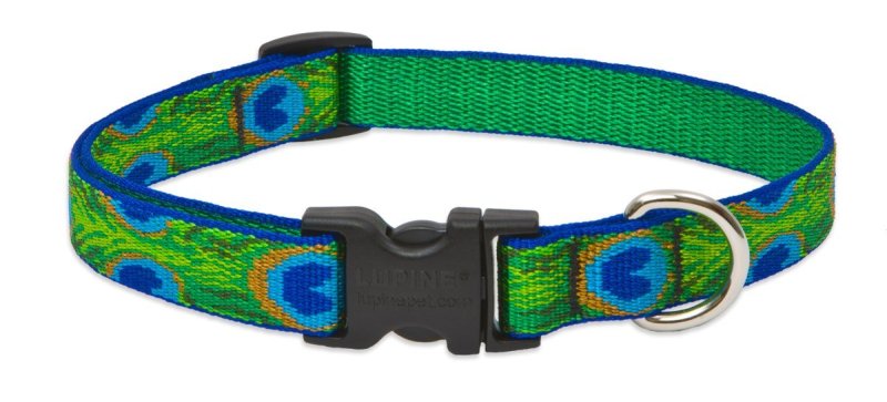 Picture of Lupine 32601 .75 in. Tail Feathers 9 in. -14 in. Adj. Collar