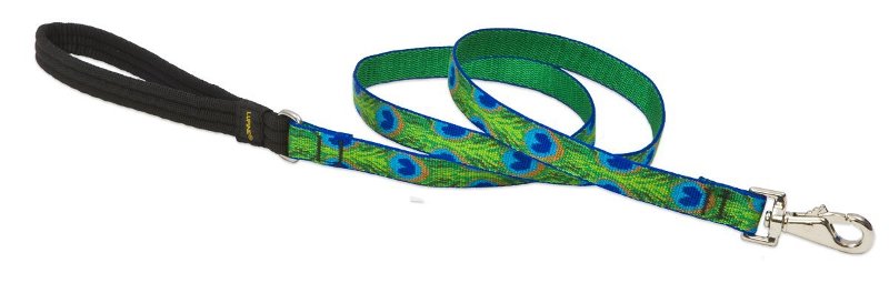 75 in. Tail Feathers 6 ft. Lead