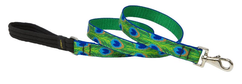 1'' x 6 Ft. Woven Pattern Tail Feather Dog Leash